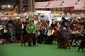 Crufts2010 1210